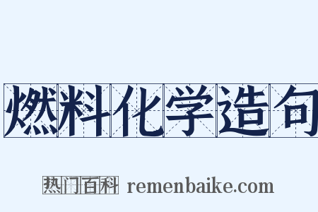 燃料化学造句是什么意思的图片